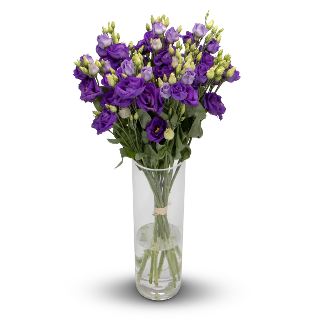 Lisianthus bouquet